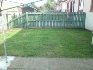 Garden Maintenance After