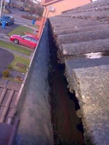 Gutter Cleaning After