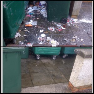 Public Bin Cleaning Before & After